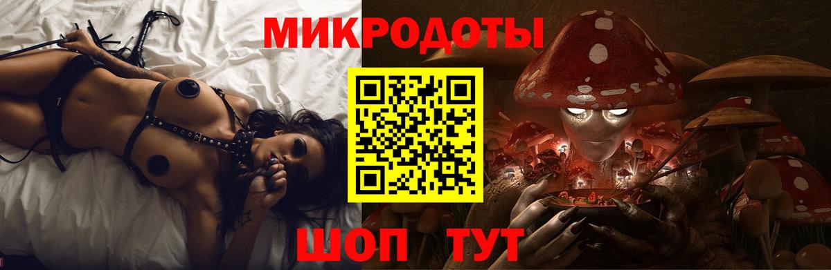 Алапаевск  Псилоцибиновые грибы Psilocybe  Вход с VPN 